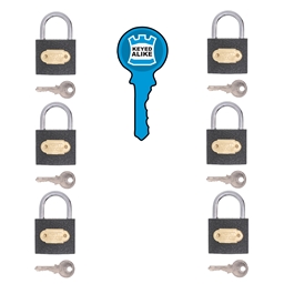 P1D50 - Iron Keyed Alike